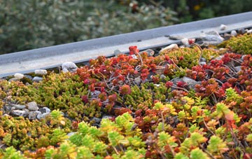 the cost of Craigellachie green roof installation