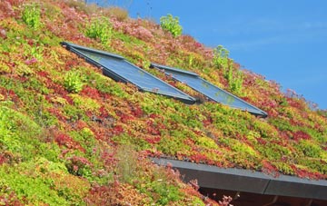 Craigellachie living roof systems