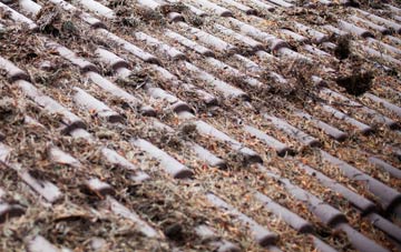 Craigellachie roof cleaning companies