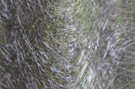 Craigellachie fibreglass roof work